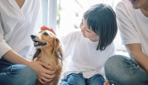 子供の成長にペットはどう関係する？